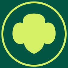 Team Page: Troop 54016